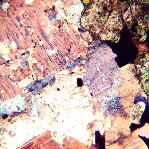 fotografia Mikroskop polaryzacyjny MAGUS Pol 800,  16