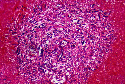 zdjęcie Kamera mikroskopowa DLT-Cam PRO 20 MP USB 3.0,  16