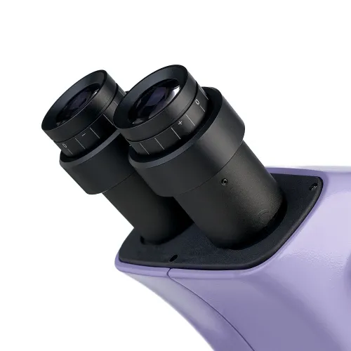 fotografia Mikroskop stereoskopowy cyfrowy MAGUS Stereo D9T,  10