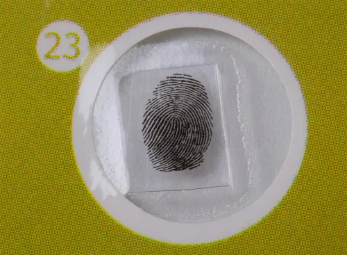 obraz Zestaw preparatów roślinnych Levenhuk LabZZ P12,  7