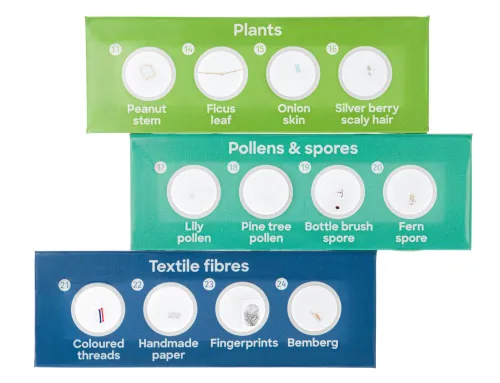 obraz Zestaw 12 preparatów Levenhuk Discovery Flora,  3