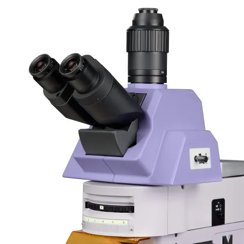 foto Mikroskop fluorescencyjny MAGUS Lum 490L,  10