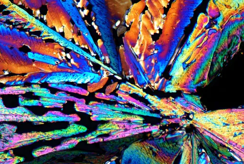 zdjęcie Kamera mikroskopowa DLT-Cam PRO 20 MP USB 3.0,  7