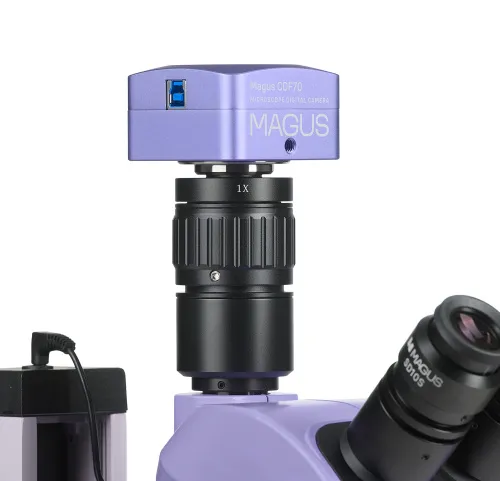 zdjęcie Cyfrowy mikroskop stereoskopowy MAGUS Stereo D7T PLUS,  4