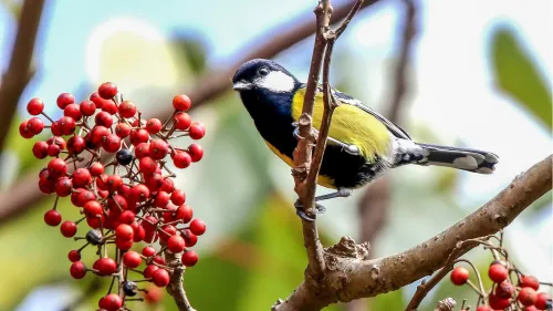 foto Fototeleskop Levenhuk Kelvin MAK127 AZ GOTO Wi-Fi,  13
