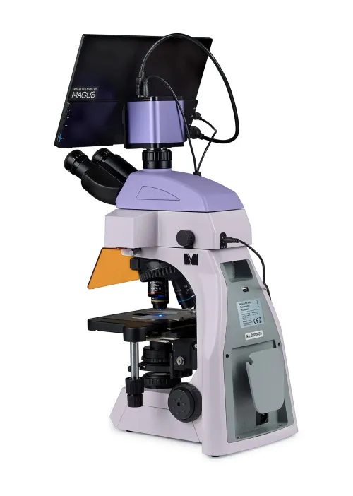 obraz Cyfrowy mikroskop fluorescencyjny MAGUS Lum D450L LCD,  5