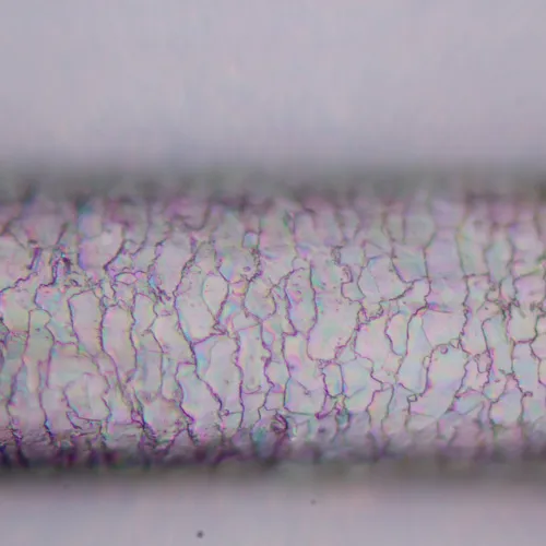 foto Mikroskop polaryzacyjny cyfrowy MAGUS Pol D800 LCD,  25