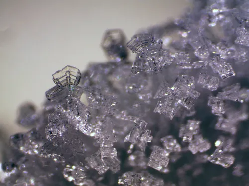 fotografia Mikroskop stereoskopowy Bresser Erudit ICD,  11