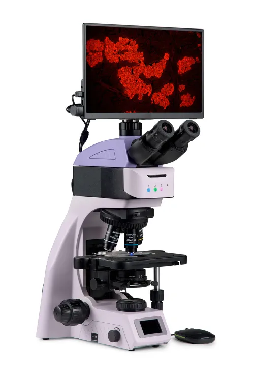 fotografia Cyfrowy mikroskop fluorescencyjny MAGUS Lum D460L LCD,  3
