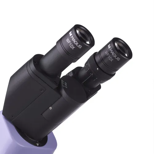 fotografia Mikroskop biologiczny cyfrowy MAGUS Bio D230TL LCD,  12