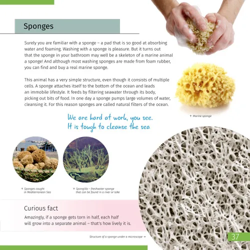 fotografia Kosmos. Mikroświat. Książka (wydanie dwutomowe). Twarda oprawa,  11