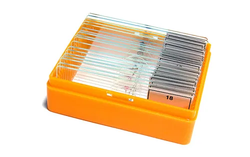 zdjęcie Zestaw gotowych preparatów Levenhuk N18 NG,  5