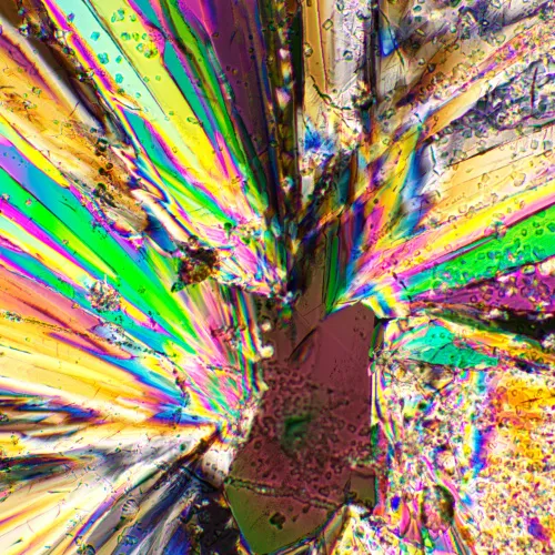 fotografia Zestaw polaryzator/analizator MAGUS SPD1,  4