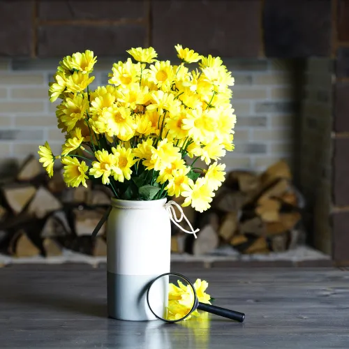 obraz Lupa Levenhuk Zeno Handy ZH5,  11