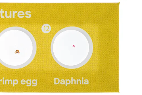 obraz Zestaw 12 preparatów Levenhuk Discovery Fauna,  7