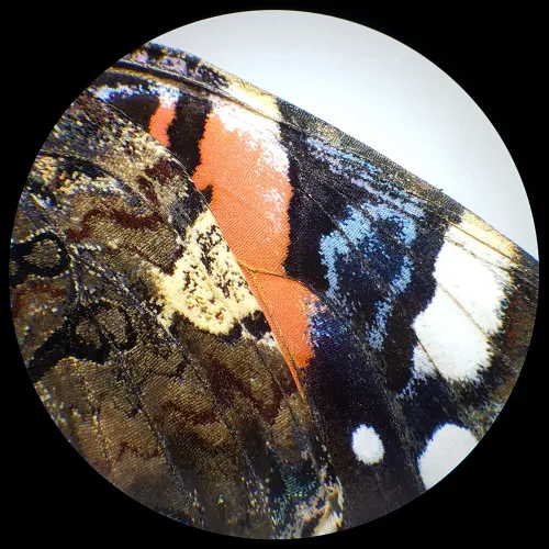 zdjęcie Mikroskop stereoskopowy Bresser Analyth STR 10x - 40x,  6