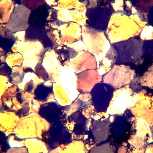 fotografia Mikroskop polaryzacyjny MAGUS Pol 800,  18