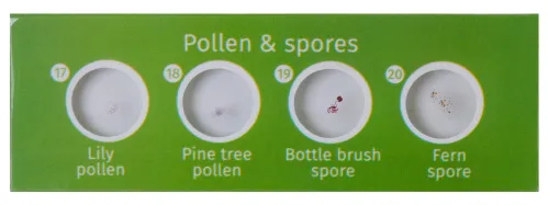 obraz Zestaw preparatów roślinnych Levenhuk LabZZ P12,  3