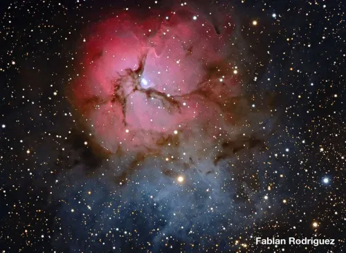 zdjęcie Tubus optyczny Meade 12" F/8 ACF,  5