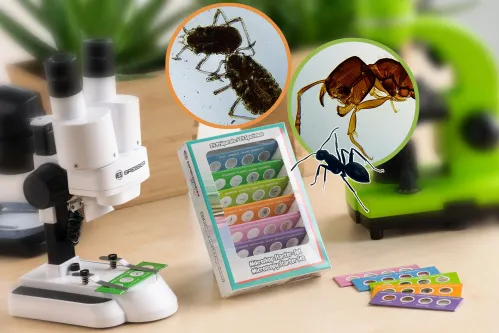 fotografia Zestaw do eksperymentów Bresser Junior zestaw startowy do mikroskopii,  2