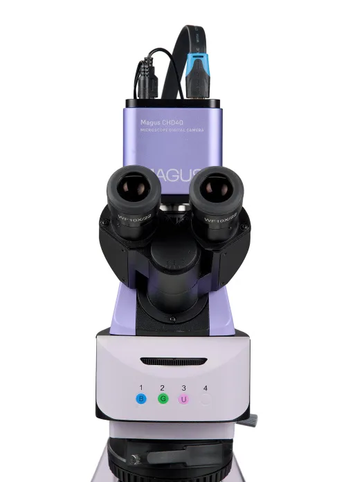 fotografia Cyfrowy mikroskop fluorescencyjny MAGUS Lum D460L LCD,  11