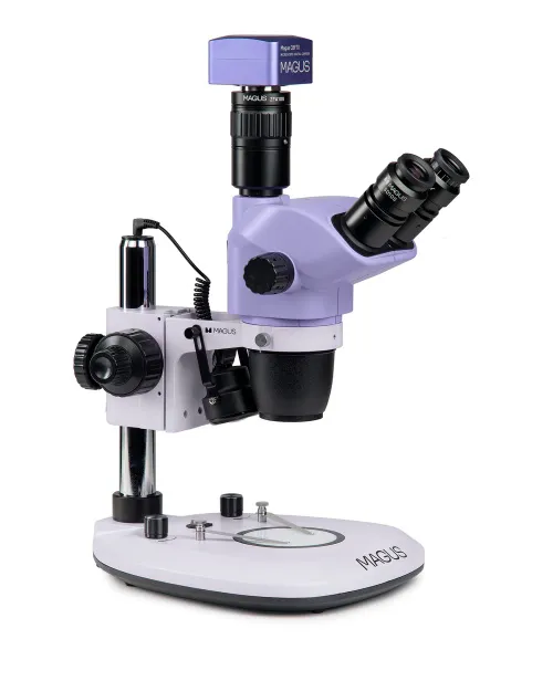 obraz Cyfrowy mikroskop stereoskopowy MAGUS Stereo D8T PLUS,  3