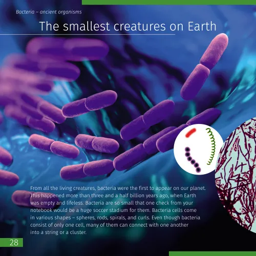 fotografia Kosmos. Mikroświat. Książka (wydanie dwutomowe). Twarda oprawa,  9