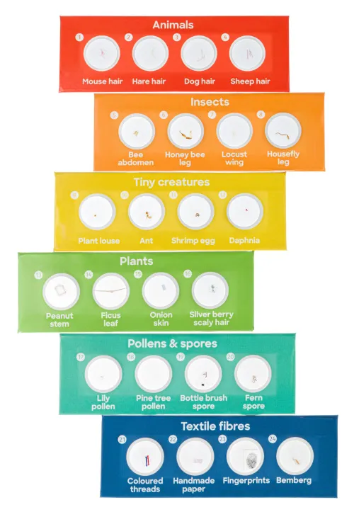 obraz Mikroskop Levenhuk Discovery Centi 02 z książką,  3