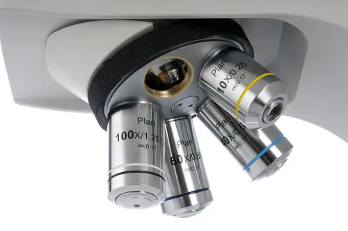 obraz Trójokularowy mikroskop cyfrowy Levenhuk MED D40T LCD,  9