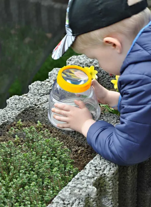 zdjęcie Pojemnik Bresser National Geographic 5x XXL do obserwacji owadów,  6