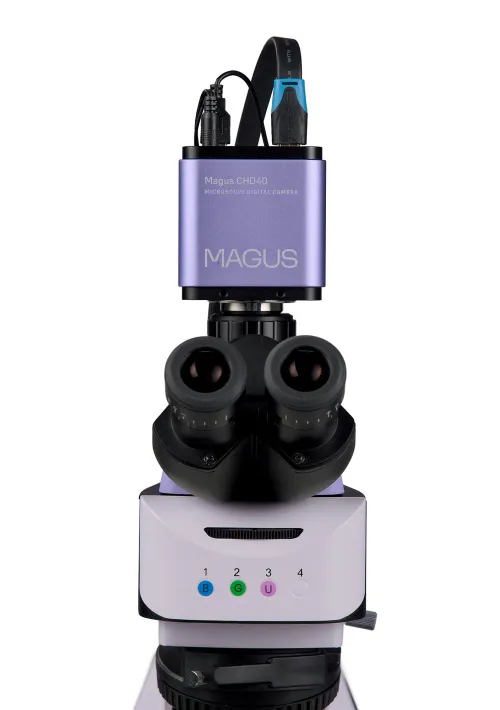 fotografia Cyfrowy mikroskop fluorescencyjny MAGUS Lum D460L LCD,  12