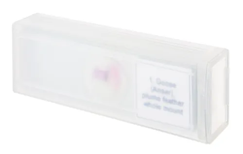 zdjęcie Zestaw mikropreparatów Levenhuk Discovery Prof DPS 5. „Ptaki”,  4