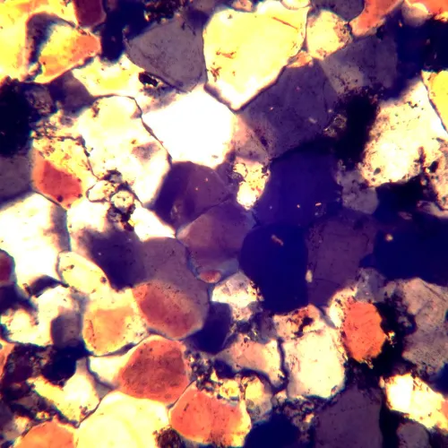 foto Mikroskop polaryzacyjny MAGUS Pol 850,  22