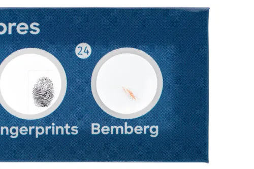 obraz Zestaw 12 preparatów Levenhuk Discovery Flora,  5