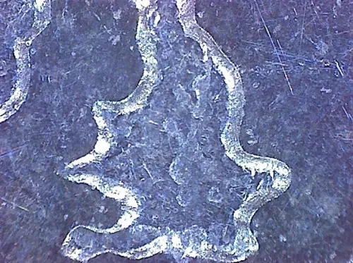 foto Omegon DigitalView Mikroskop ręczny USB,  5