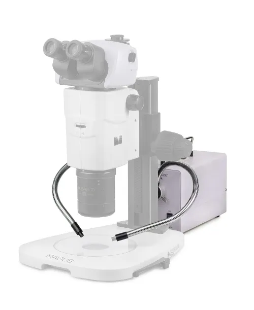 fotografia Oświetlenie zimne MAGUS CLI18T z podwójnym światłowodem,  4