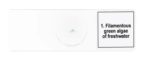 foto Zestaw mikropreparatów Levenhuk Discovery Prof DPS 5. „Biologia”,  7
