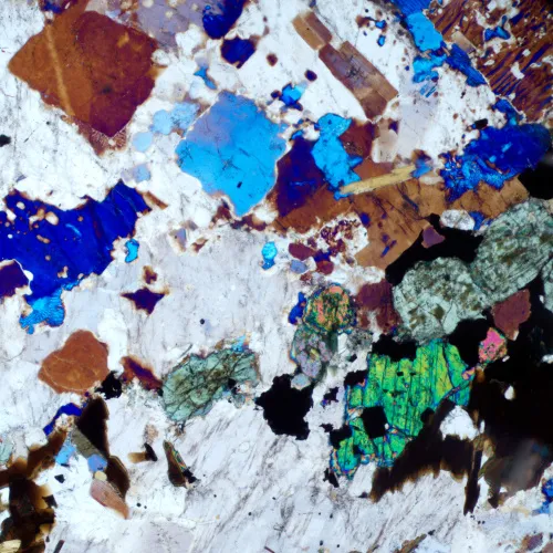 zdjęcie Mikroskop polaryzacyjny cyfrowy MAGUS Pol D800,  19