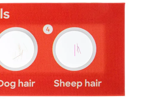 obraz Zestaw 12 preparatów Levenhuk Discovery Fauna,  4