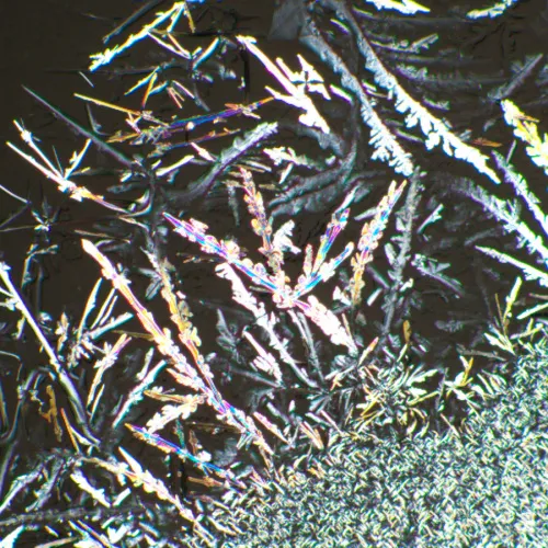 fotografia Zestaw polaryzator/analizator MAGUS SPD1,  6