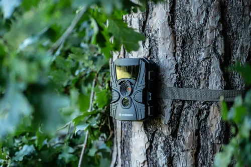 zdjęcie Kamera do obserwacji dzikich zwierząt Bresser 60° 5–20 MP,  9