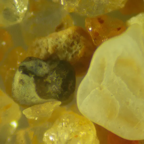 obraz Mikroskop stereoskopowy cyfrowy MAGUS Stereo D9T LCD,  27