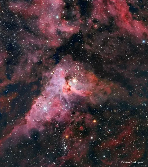 zdjęcie Tubus optyczny Meade 12" F/8 ACF,  8