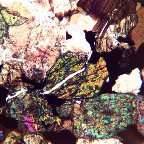 foto Mikroskop polaryzacyjny MAGUS Pol 890,  24