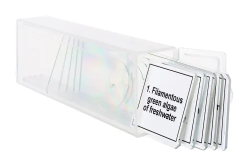 foto Zestaw mikropreparatów Levenhuk Discovery Prof DPS 5. „Biologia”,  5