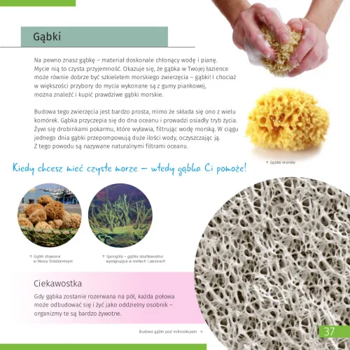 zdjęcie Niewidoczny świat. Skarbnica wiedzy. Twarda oprawa,  11