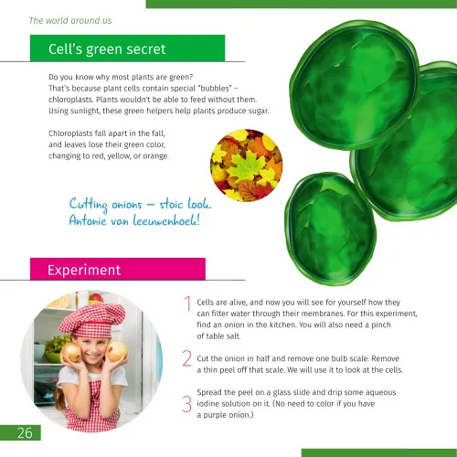 obraz Mikroskop Levenhuk Discovery Atto Polar z książką,  5