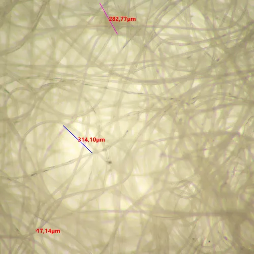 fotografia Mikroskop stereoskopowy cyfrowy MAGUS Stereo D9T,  24