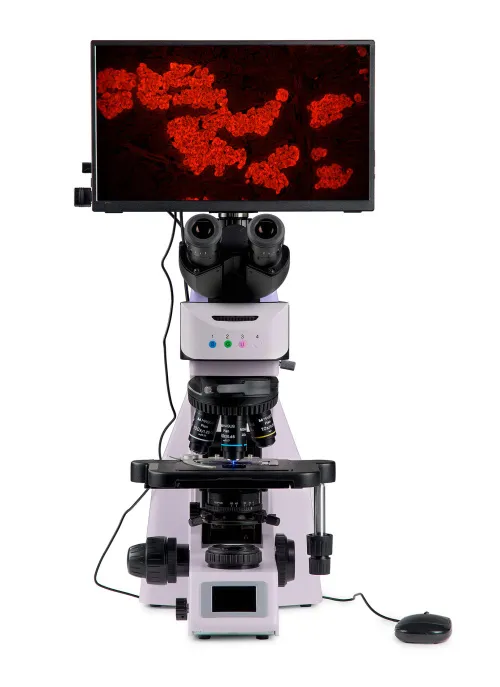 fotografia Cyfrowy mikroskop fluorescencyjny MAGUS Lum D460L LCD,  9