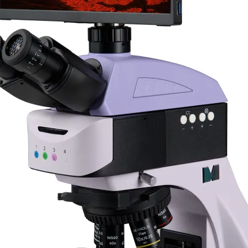 fotografia Cyfrowy mikroskop fluorescencyjny MAGUS Lum D460L LCD,  13